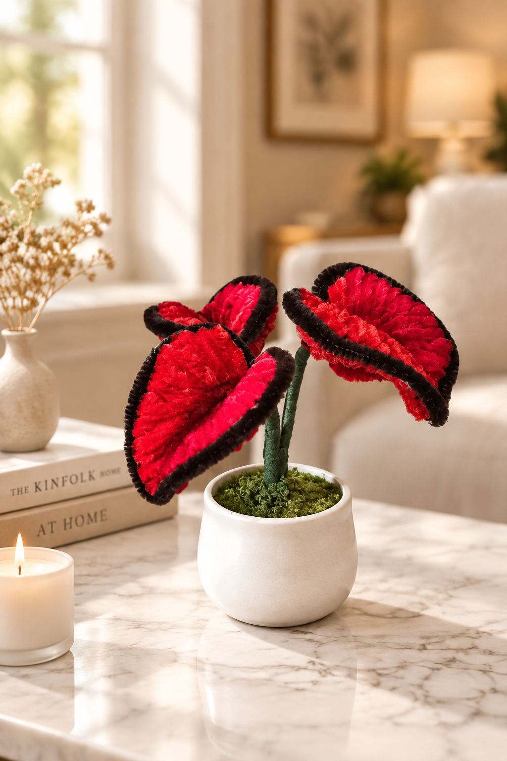 Red Caladium – round pot, lifestyle