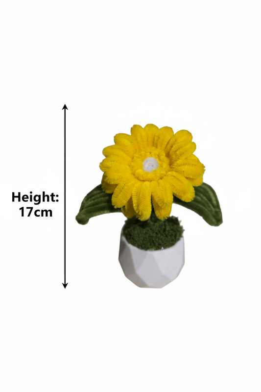 Citrine Gerbera Mini Pot