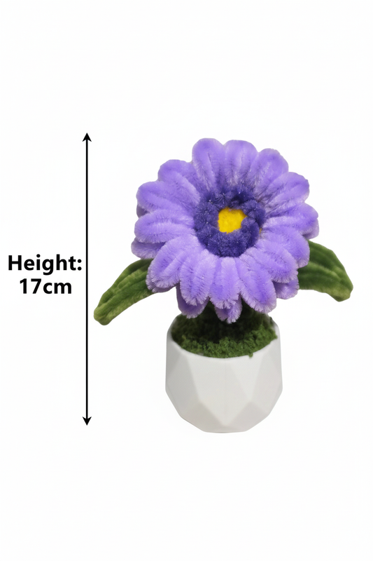 Amethyst Gerbera Mini Pot