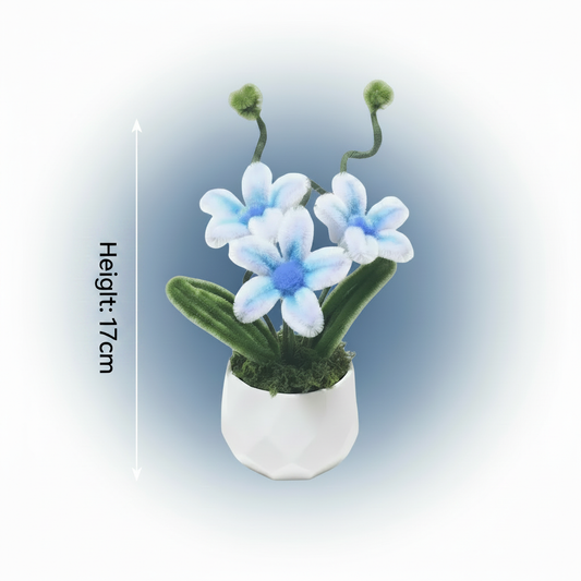 Blue Bell Daisy Mini Pot