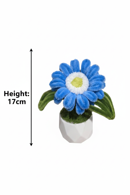 Azure Gerbera Mini Pot