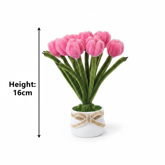 Pink Tulip Height Measurement