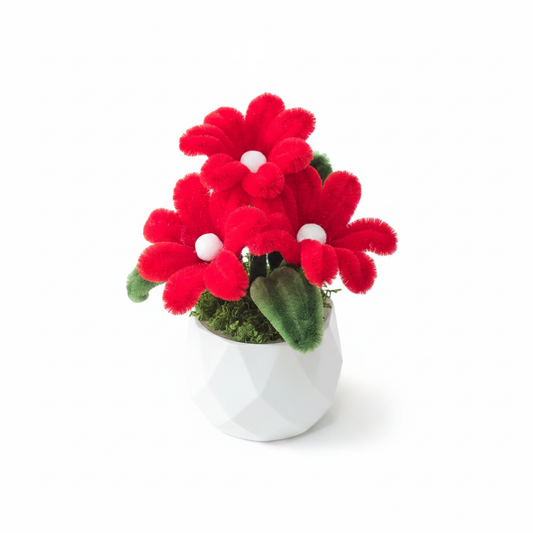 Red Chenille White Background