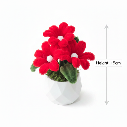 Red Height 15cm