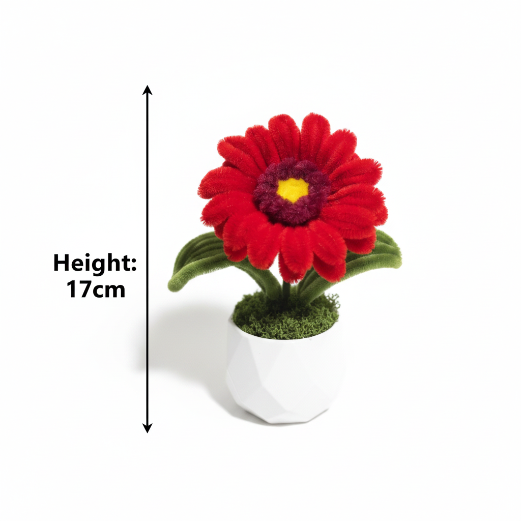 Ruby Gerbera Mini Pot – Height 17cm measurement